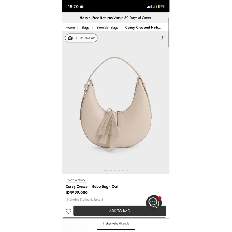 charles and keith carey crescent hobo bag
