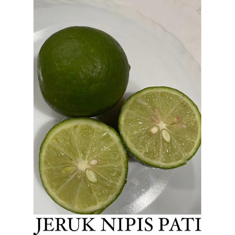 

Jeruk nipis super