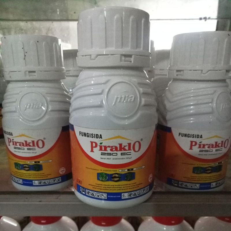 FUNGISIDA PIRAKLO 250 EC 250 ML Piraklostrobin