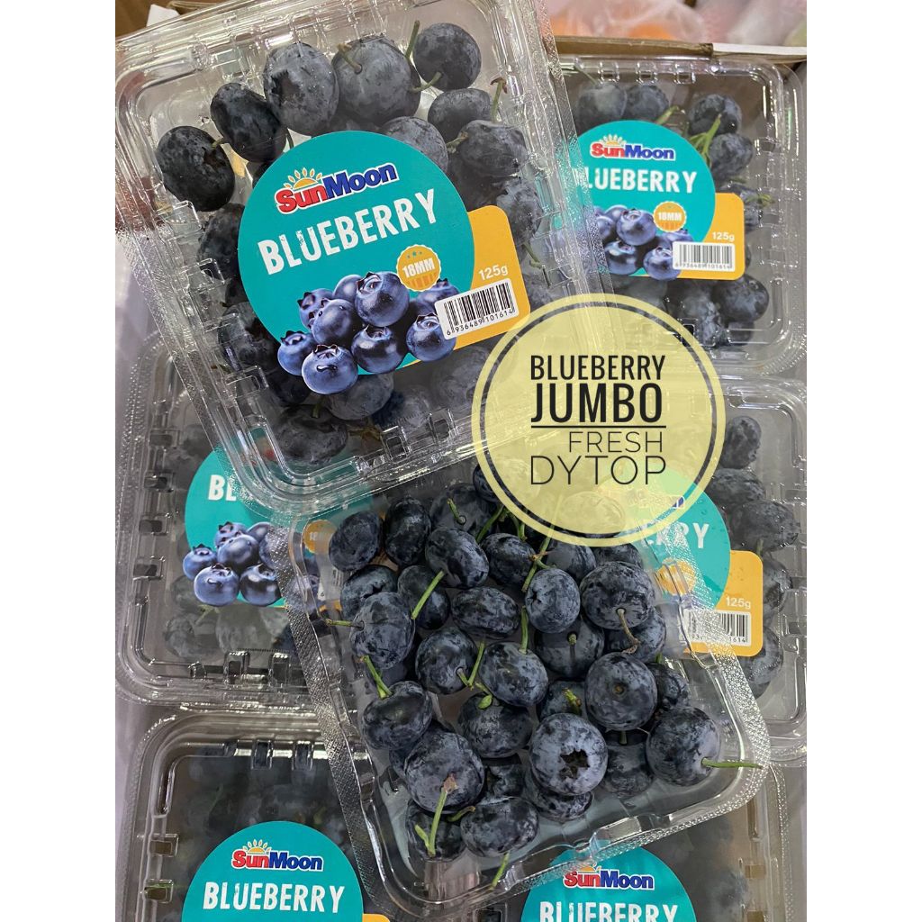 

Buah Blueberry Import Fresh Segar Manis