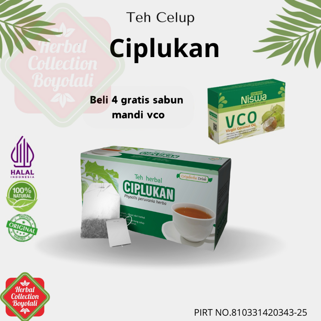 

Teh Ciplukan Griya Herba herbal alami untuk diabetes dan sakit tenggorokan dengan Teh Herbal Daun Ciplukan Griya herba halal alami aman