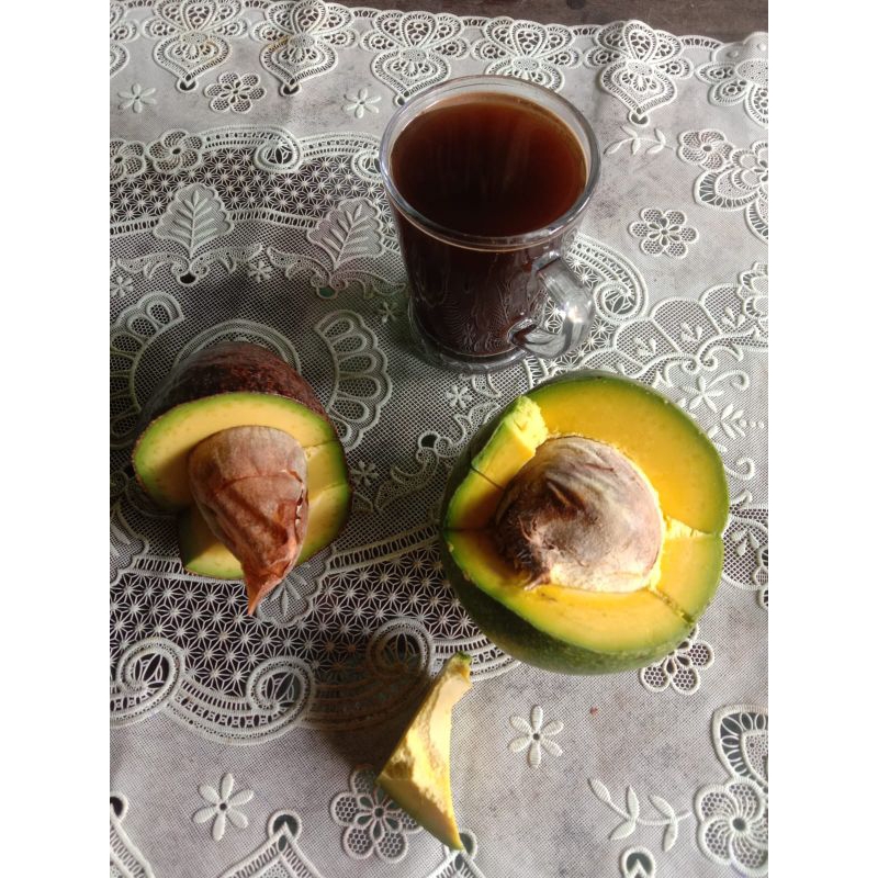 

alpukat mentega Muria isi 5-7 matang premium