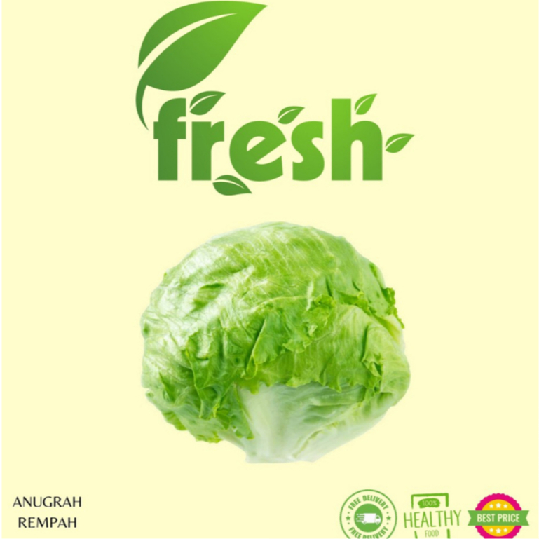 

Lettuce Head Fresh 250-500 ANUGRAH REMPAH