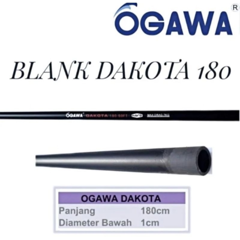 BLANK OGAWA DAKOTA HOLLOW