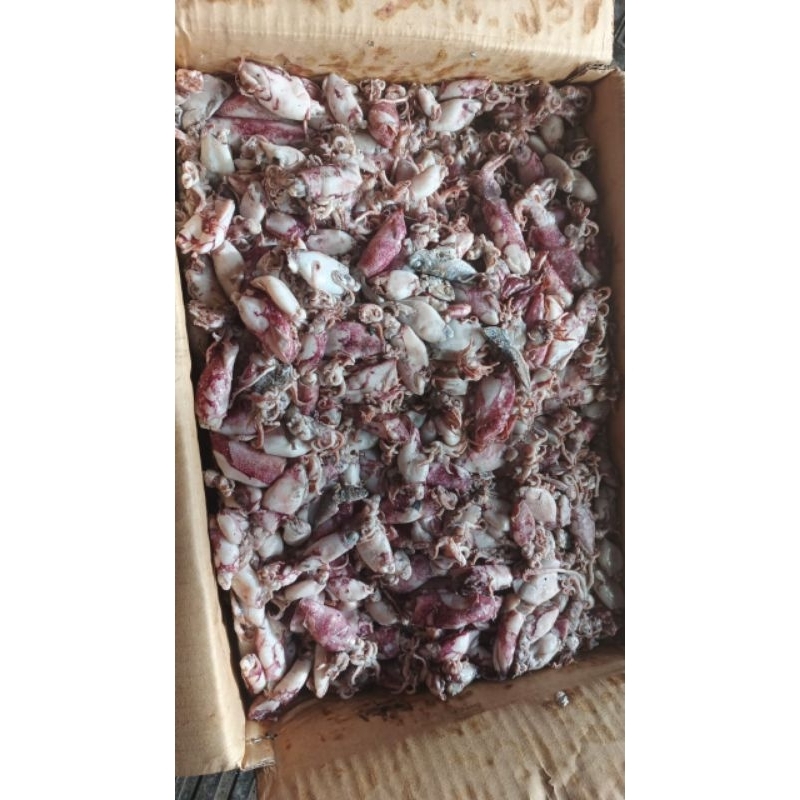 

ikan asin cumi
