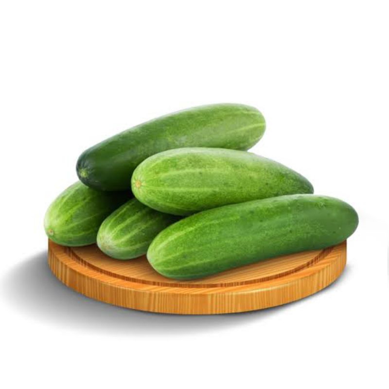 

1KG Timun Pertania/Timun organik