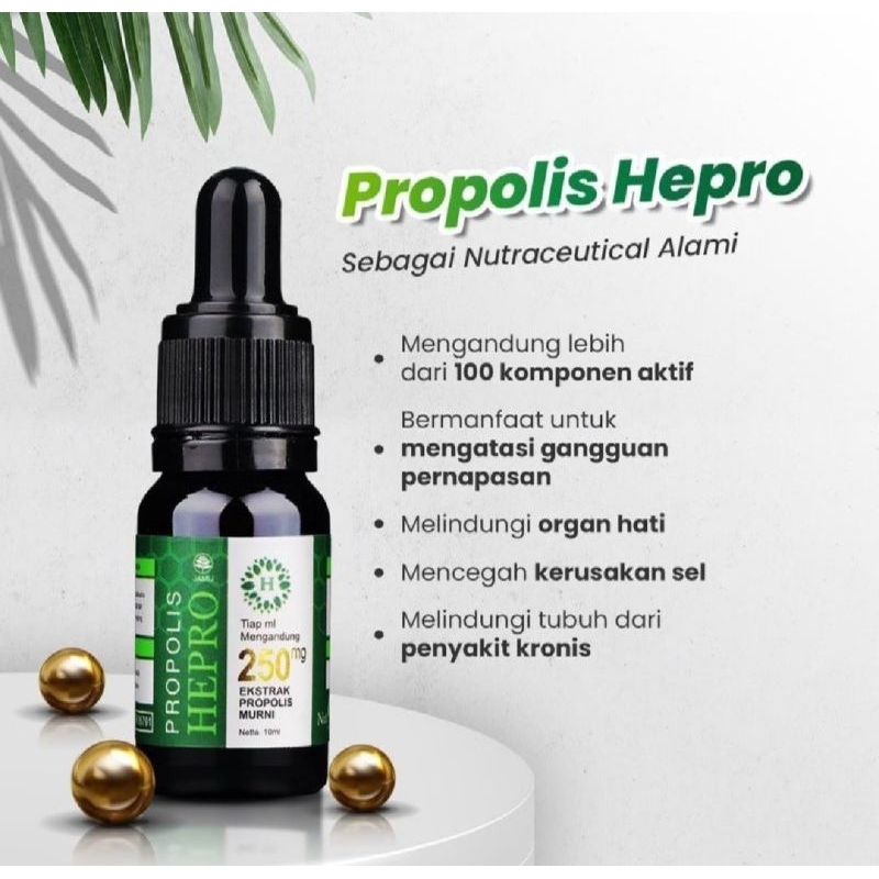 Propolis hepro herbal original