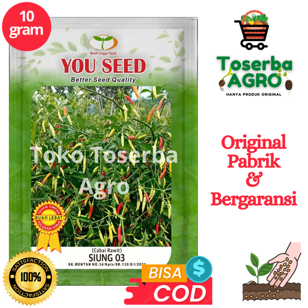 Benih Bibit Cabe Rawit Setan tipe Patalan SIUNG 03 10 gram You Seed
