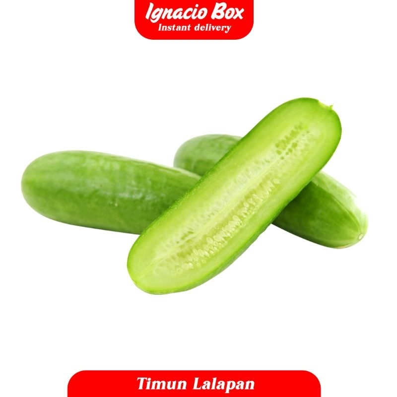 

TIMUN LALAPAN 2 BUNTEL [ ±500 Gr ] IGNACIOBOX
