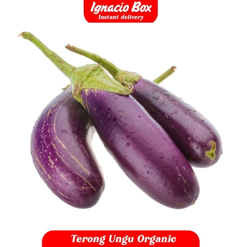 

Sayur Terong Ungu 1 Pcs [ ±300Gr ] Organic Segar Kebun Ignacio Box