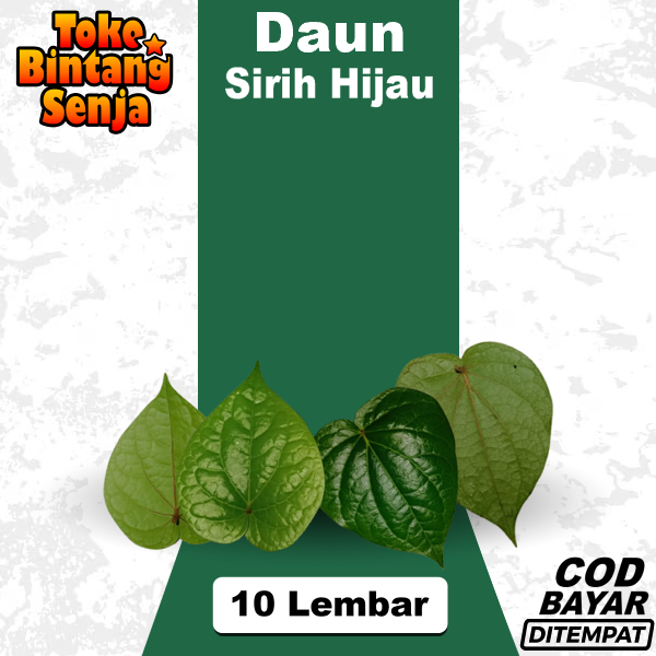 

Daun Sirih Hijau Segar Per 10 Lembar Obat Herbal