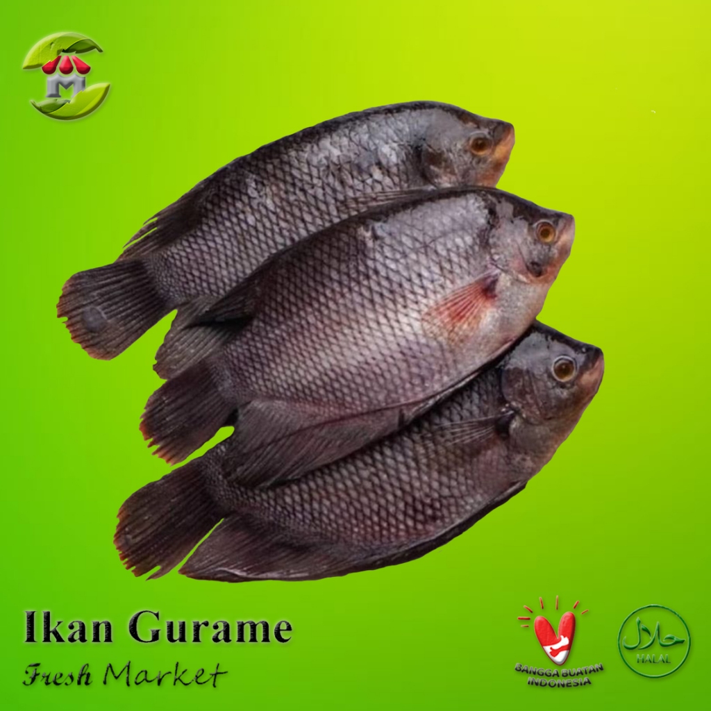 

[JAKPUS] Ikan Gurame Frozen Pack 350gr - 450gr