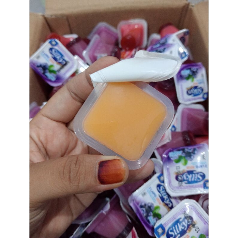 

silkys puding 1kg
