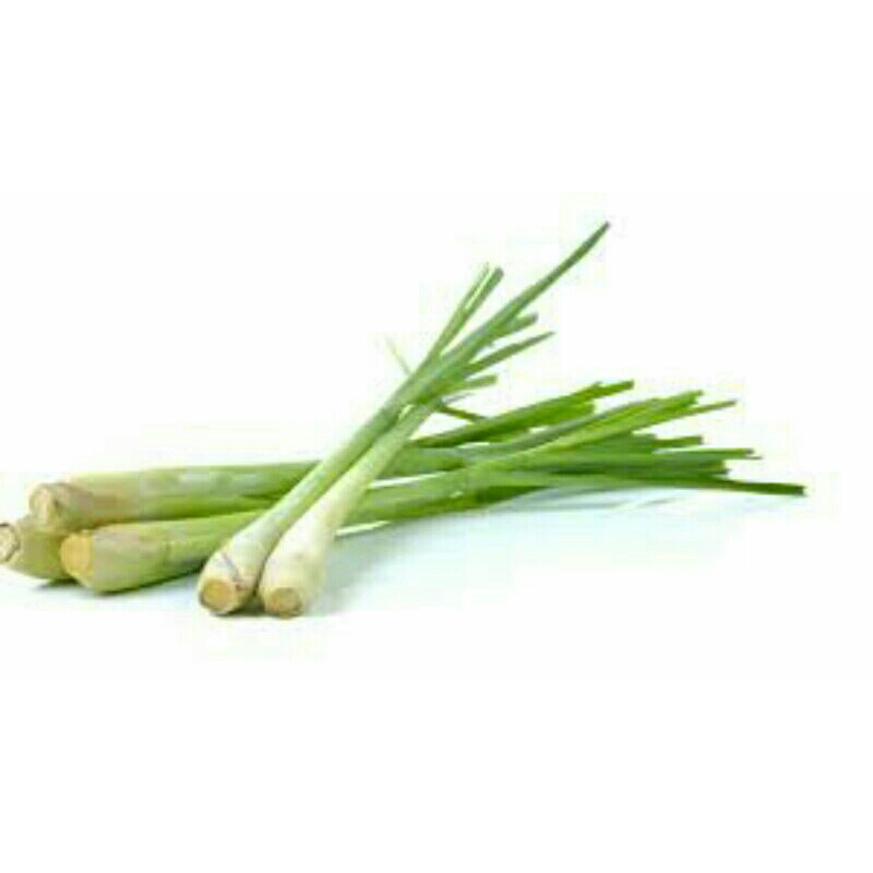 

serai, daun serai, daun penyedap makanan ,1kg