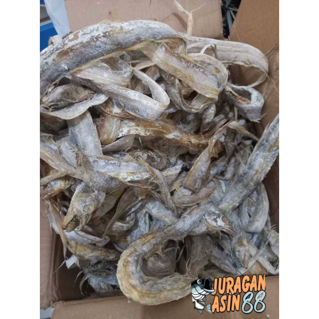 

COD ikan asin layur asin sedang besar