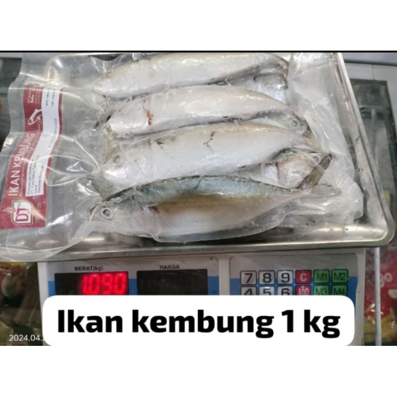

RB Ikan Kembung 1 kg