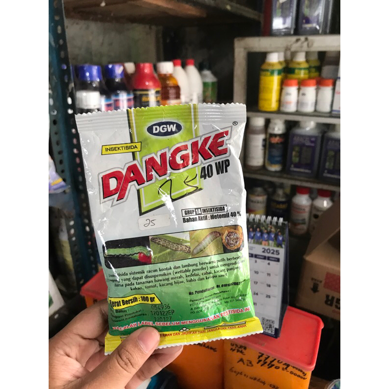 DANGKE 100 gram