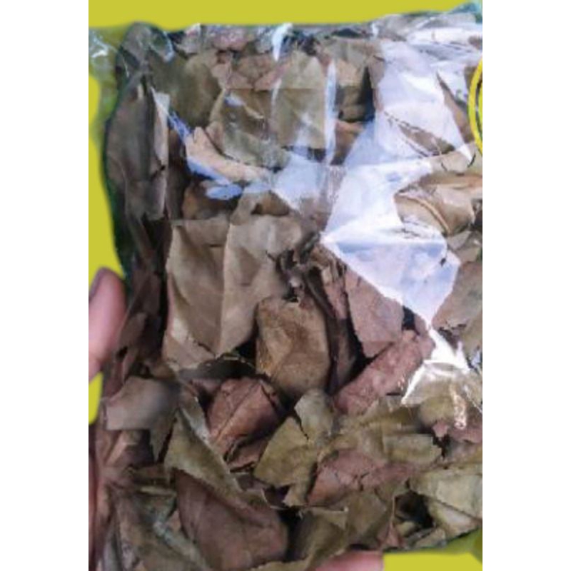 

Daun sukun kering