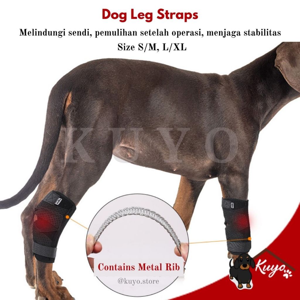 Dog Knee Brace Bandage Leg Straps Post Surgery Support Recovery - Pelindung Tali Perban Kaki Lutut A