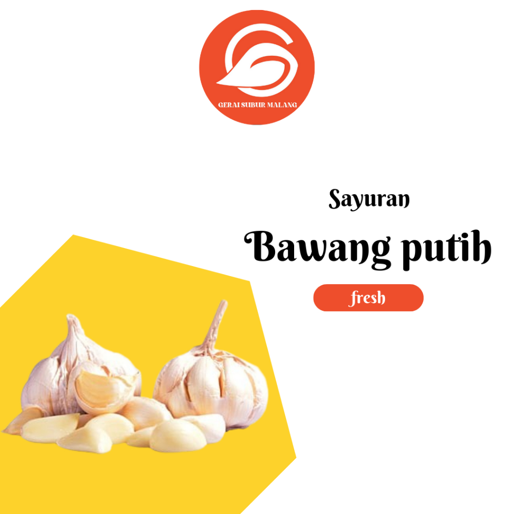 

bawang putih super segar 1 kg | siap untuk dimasak