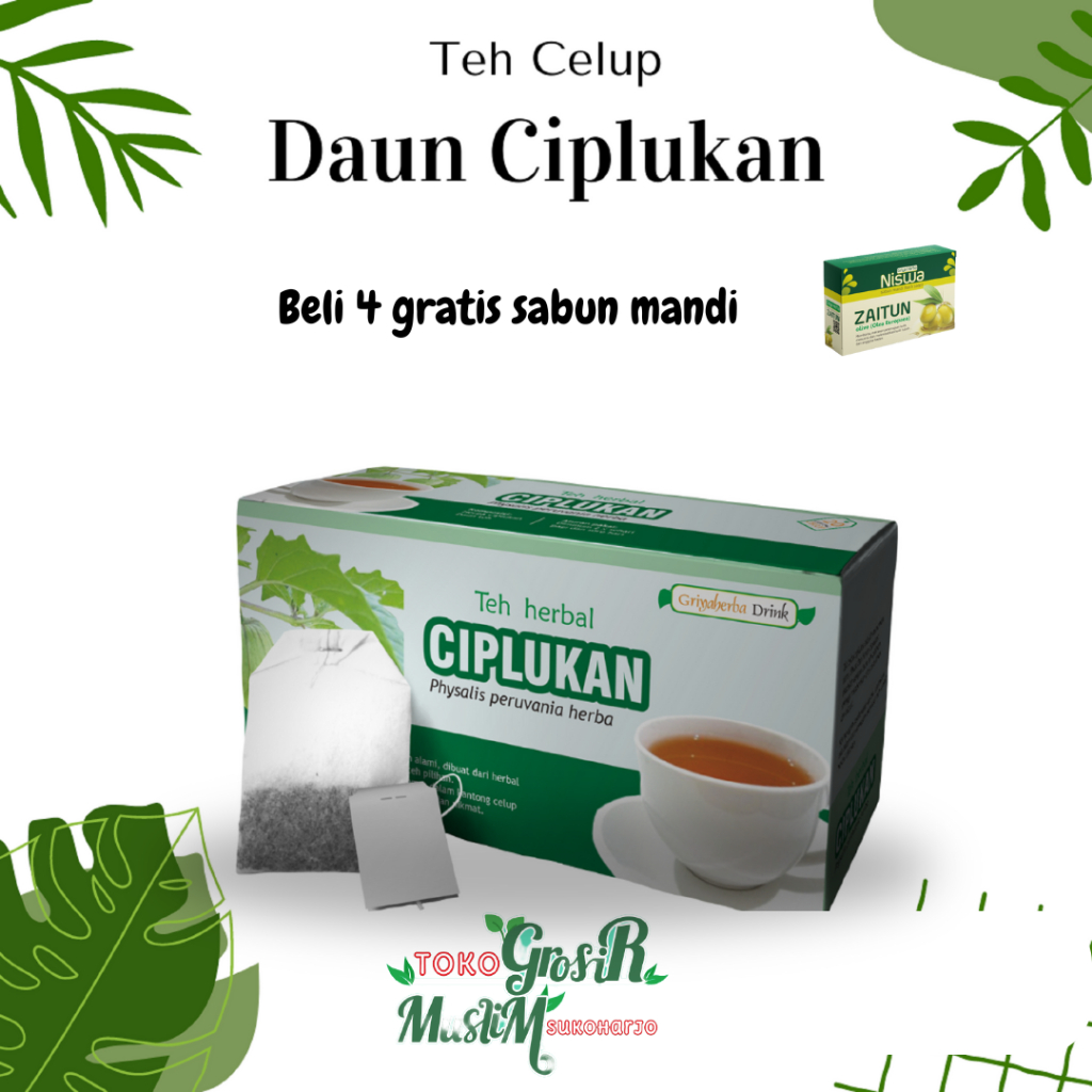 

Herbal untuk diabetes dengan teh ciplukan Griya Herba tanpa efek samping kualitas terpercaya aman alami untuk diabetes