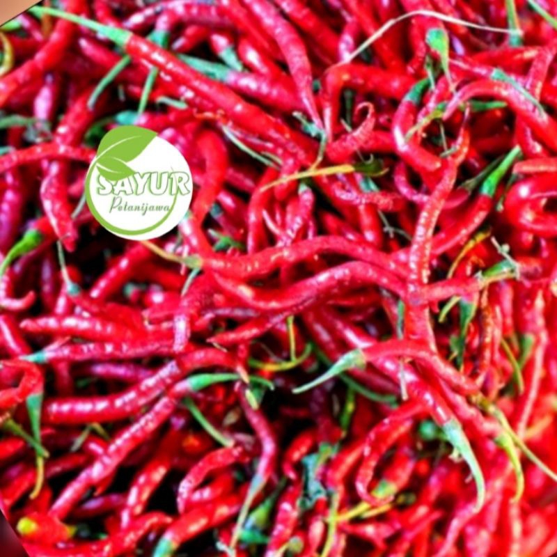

Cabai Merah Keriting | Cabai merah keriting 250gr