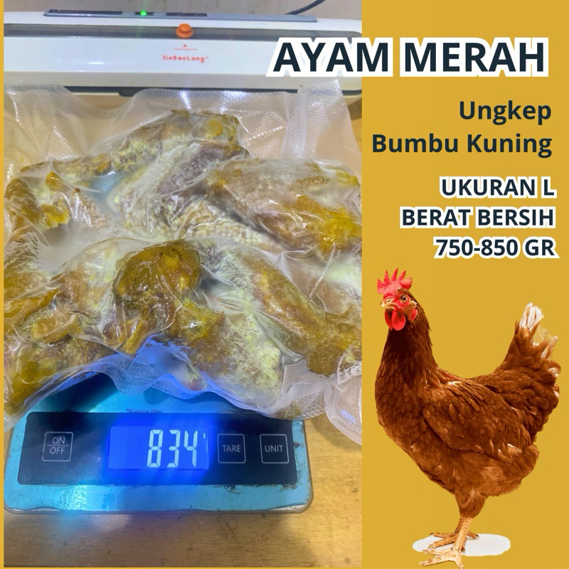 

Ayam Merah 1 ekor ungkep