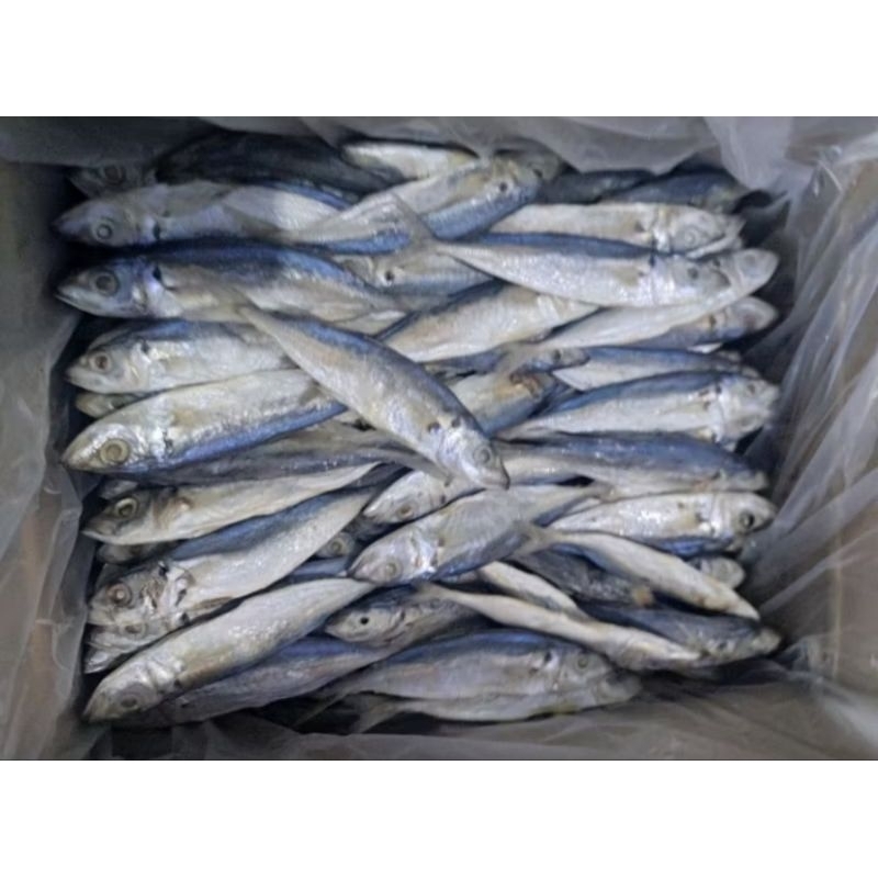 

ikan asin peda layang / klotok