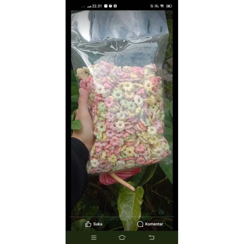 

sakura warna