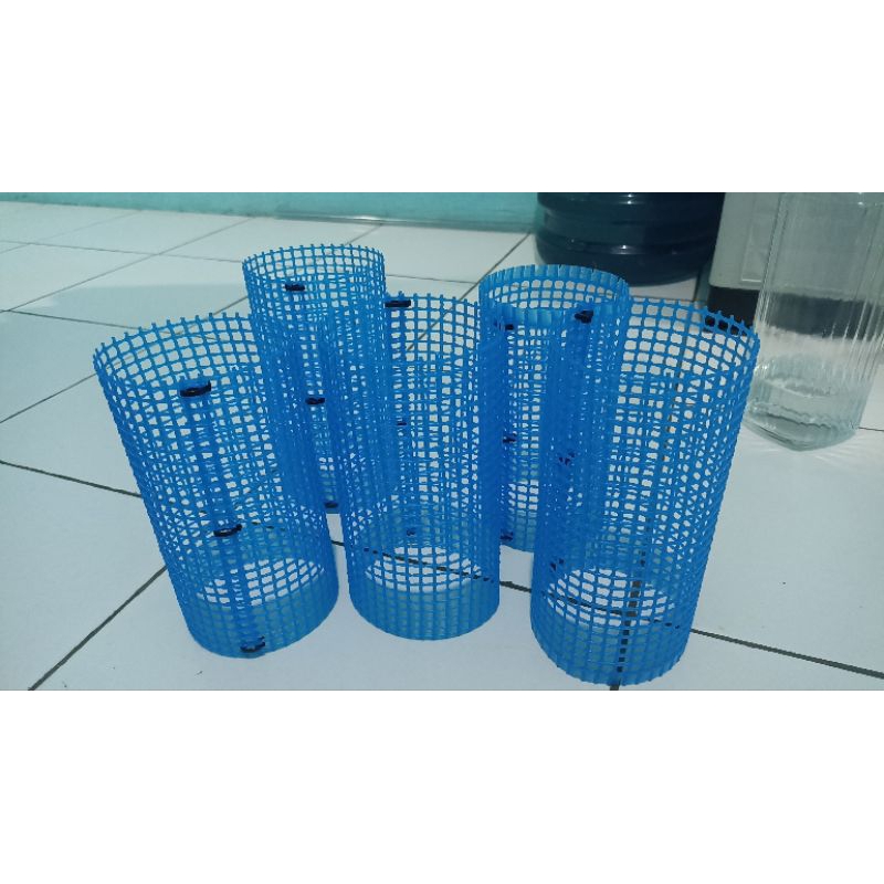 sticker prtde koi Ribbon