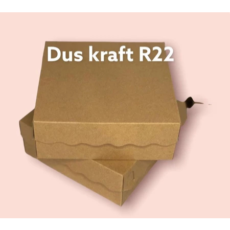 

DUS NASI COKLAT KRAFT 22 R10B R10K 22X22 MIKA SEKAT EFLUTE CATERING BOX