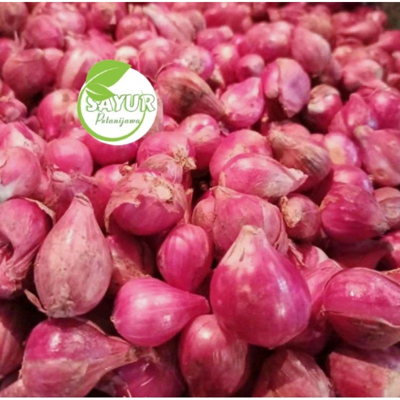 

BAWANG MERAH SEGAR | Bawang merah 1kg