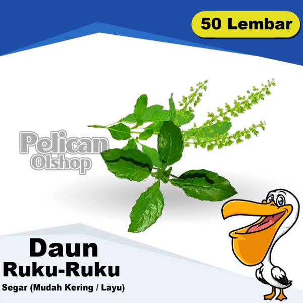 

Daun Ruku Ruku-ruku 50 Lembar Rempah Herbal Bumbu Masak Segar