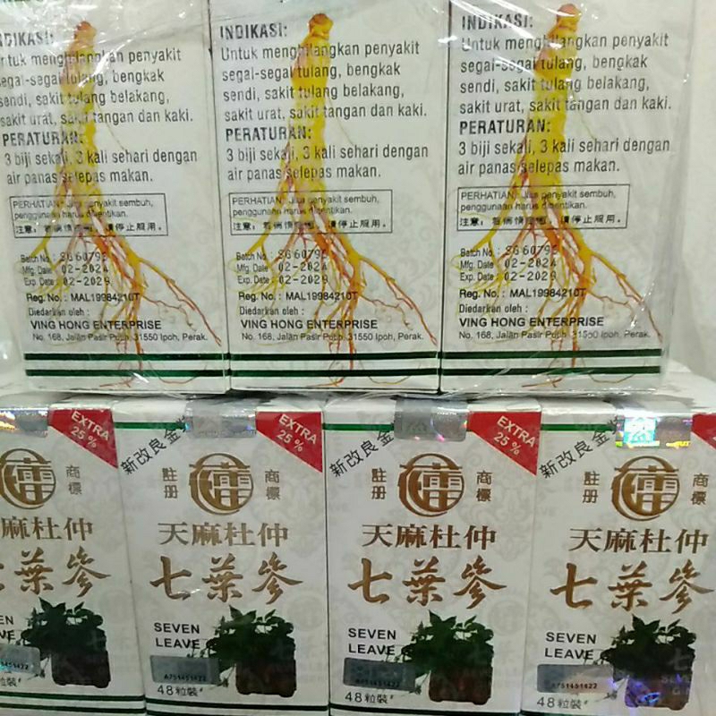Asli Seven Leave perlusin 12pcs Seven leave Ginseng sakit tulang belakang, sakit urat, sakit Tangan 