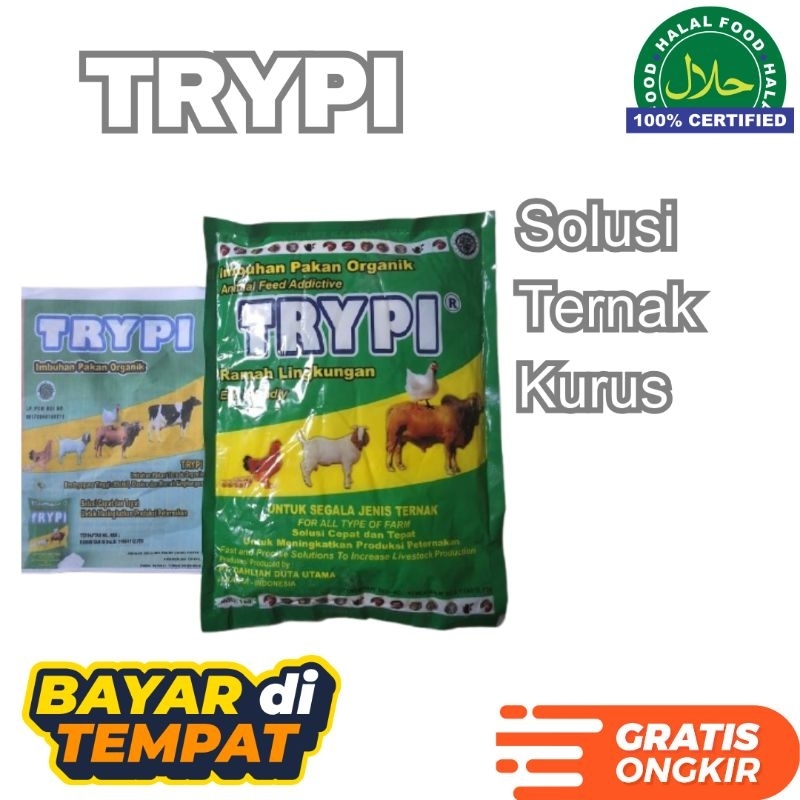 Trypi Suplemen Khusus Ternak | Pencegahan PMk pada sapi