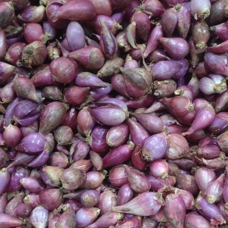 

Bawang Merah