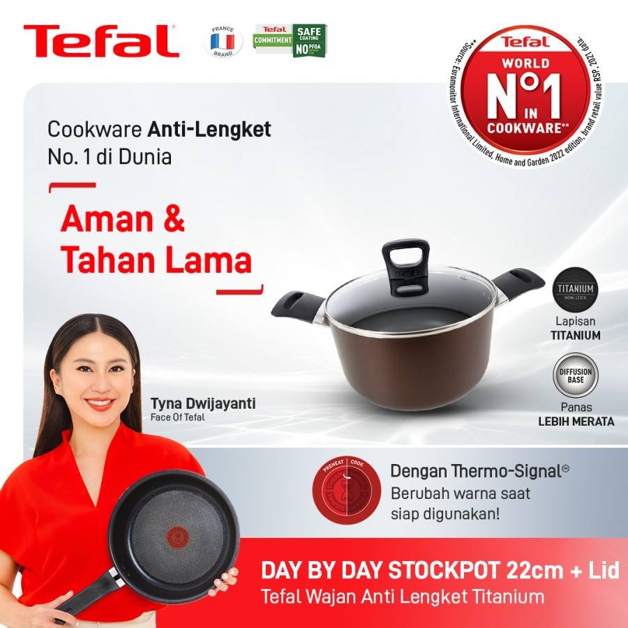 Tefal Day by Day Stockpot 22cm+ lid