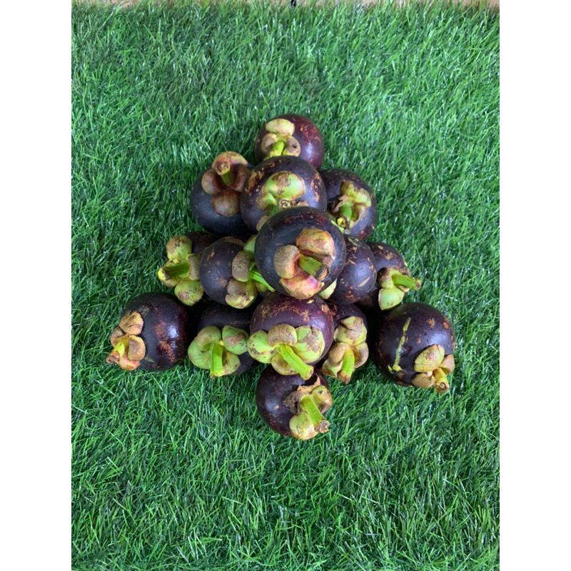 

Manggis Fresh & Manis 500gr