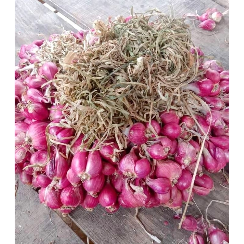 

Bawang merah asli Brebes 1kg