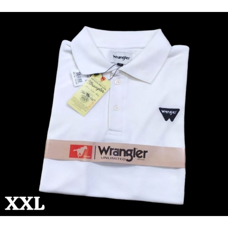 Baju Pollo Pria/ Baju Pollo Pria Terbaru/ Baju Pollo Pria Premium Quality / Baju Pollo Shirt Pria