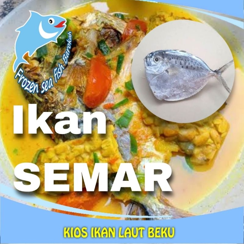 

Ikan Semar