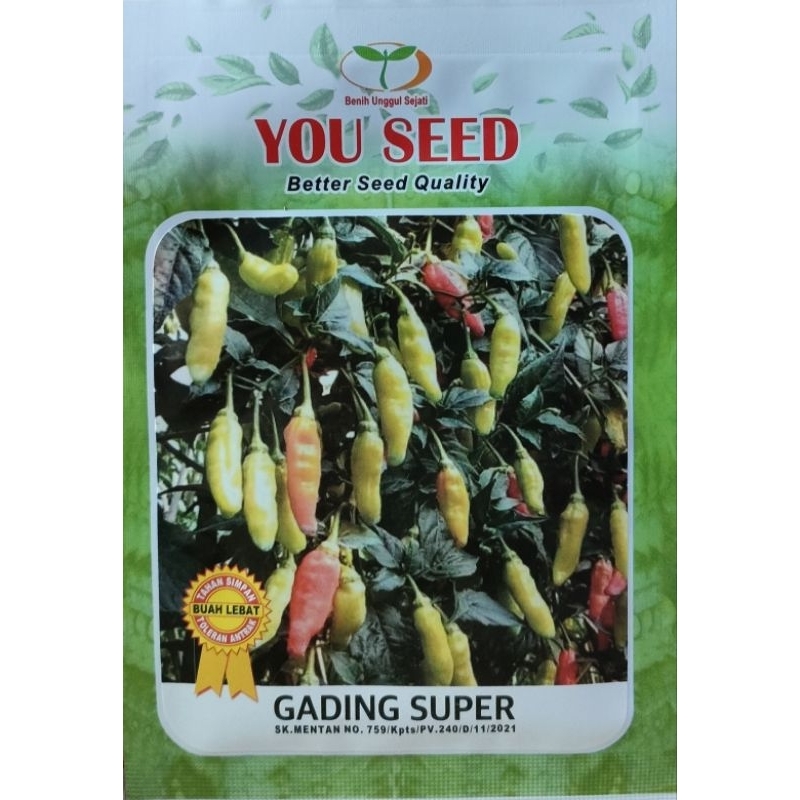 Benih Cabe Rawit Buah Super Lebat GADING SUPER 10gram ORIGINAL