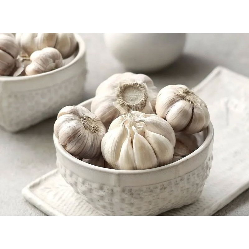 

Bawang putih- bawang sinco 1kg