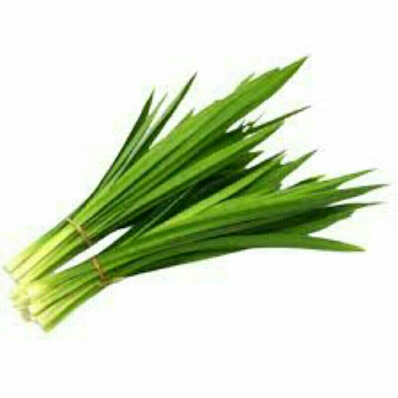 

daun pandan, daun pandan wangi, pewangi makanan ,15 daun