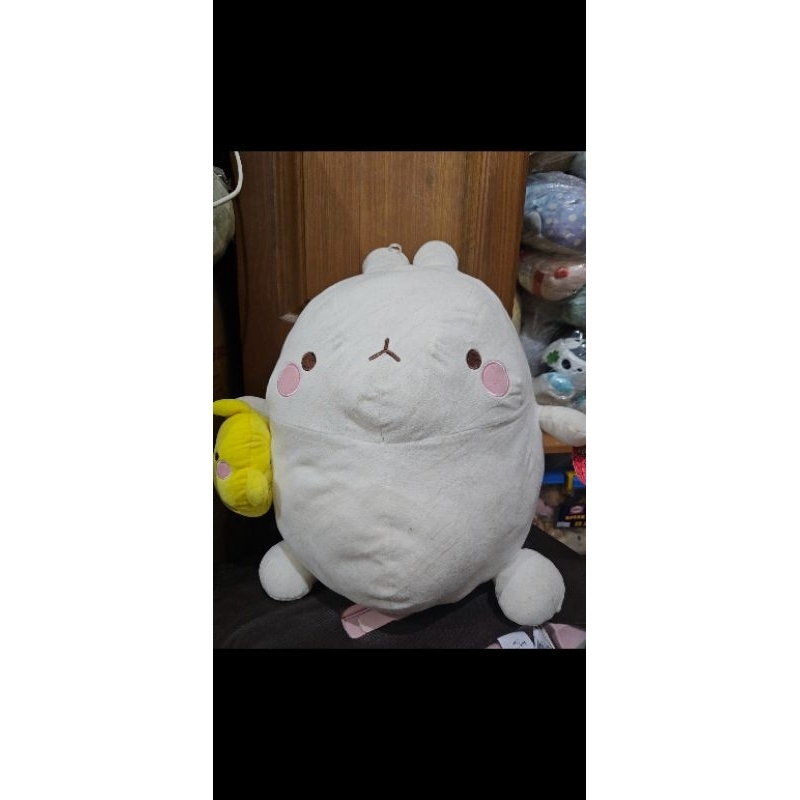 MOLANG jumbo ±60 cm