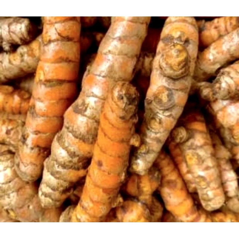 

Kunyit Kuning fresh 1kg Sido Muncul