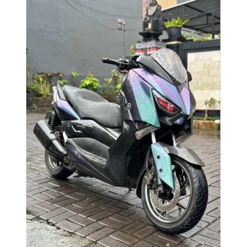 Cat Bunglon Hijau Merah