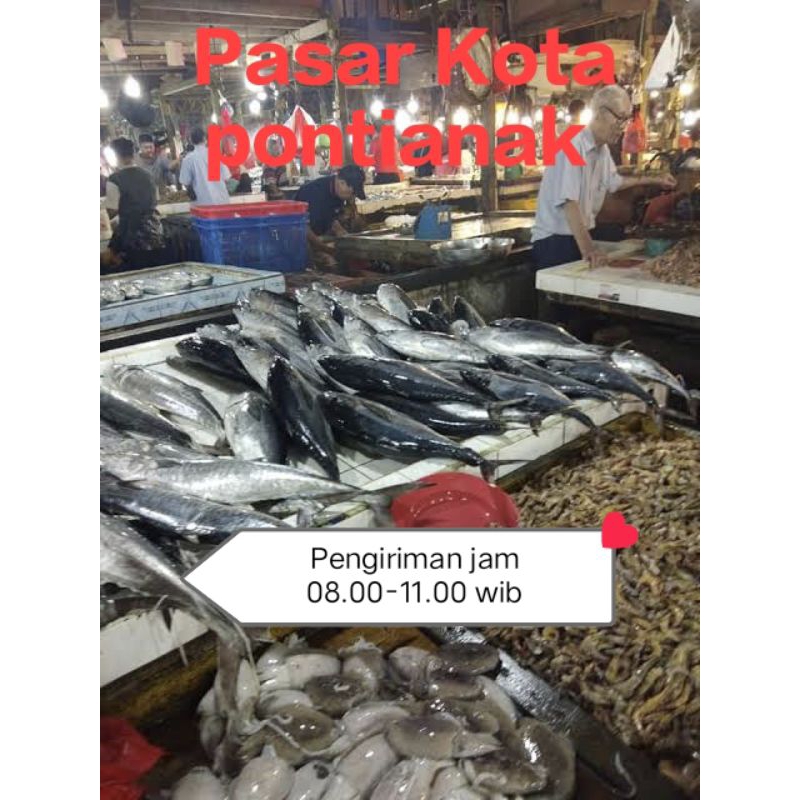 

Ikan Segar pasar pagi Flamboyan/ ikan lele/ikan nila/ikan kelarau/ikan gabus/ikan tongkol/ikan kakap/ikan gembungg