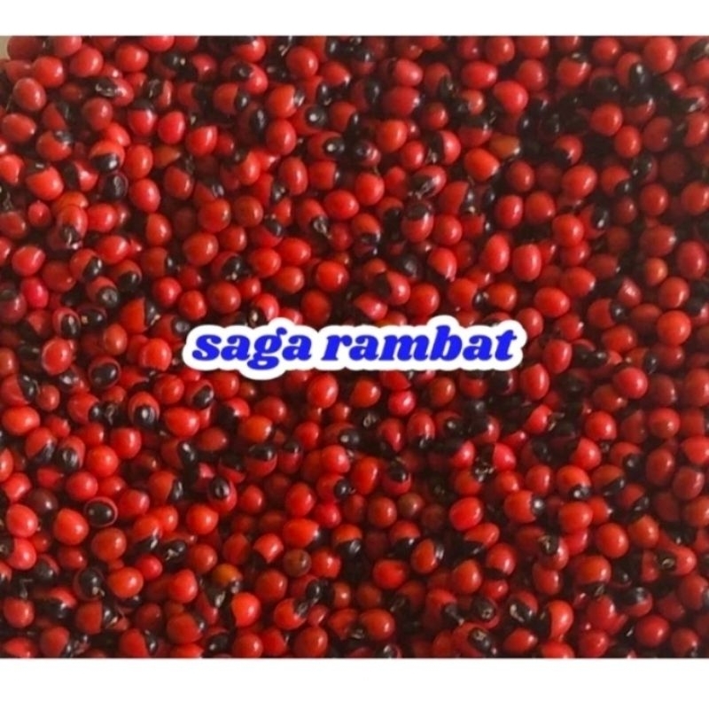 

saga rambat berat 250gram/seperempat kg