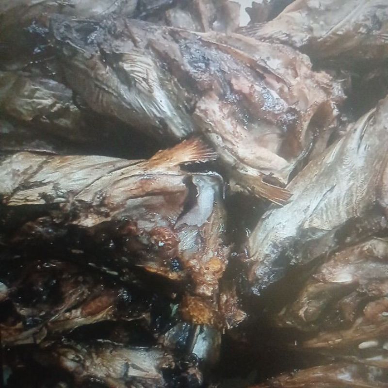 

Ikan Asap Kepala Manyung - Smoked Fish - Ikan Panggang